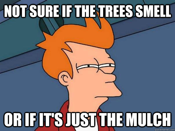 Not sure if the trees smell Or if it's just the mulch  Futurama Fry