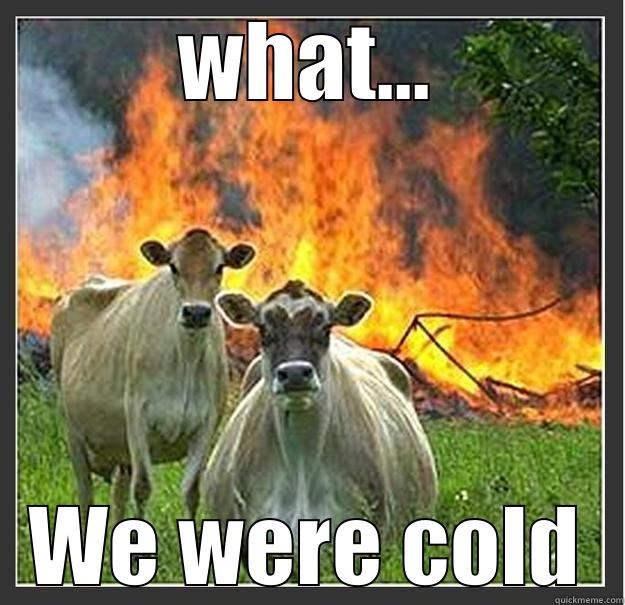 WHAT... WE WERE COLD Evil cows