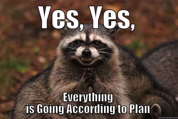 YES, YES, EVERYTHING IS GOING ACCORDING TO PLAN Evil Plotting Raccoon