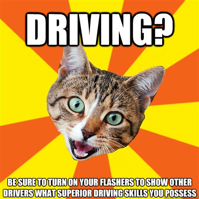 DRIVING? BE SURE TO TURN ON YOUR FLASHERS TO SHOW OTHER DRIVERS WHAT SUPERIOR DRIVING SKILLS YOU POSSESS  Bad Advice Cat