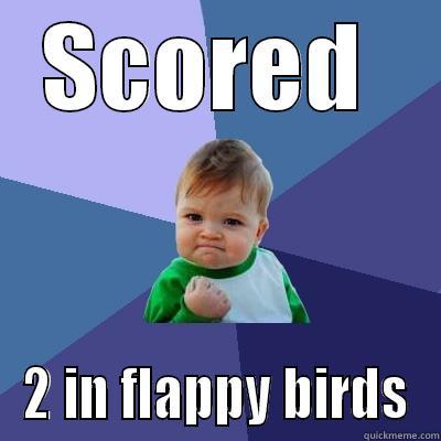 FLAPPY BIRDSSSSS SUCESS - SCORED  2 IN FLAPPY BIRDS Success Kid