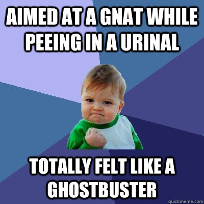 aimed at a gnat while peeing in a urinal totally felt like a ghostbuster  Success Kid