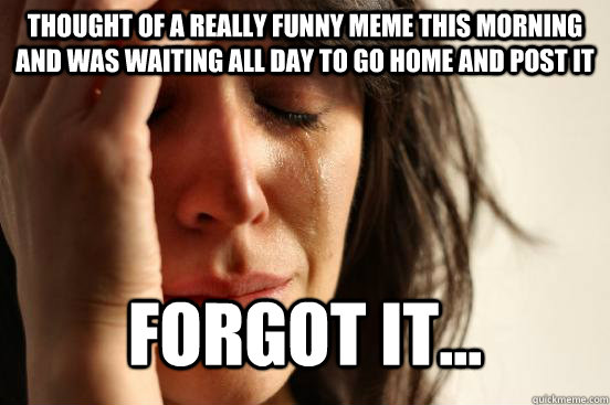 Thought of a really funny meme this morning and was waiting all day to go home and post it Forgot it...  First World Problems