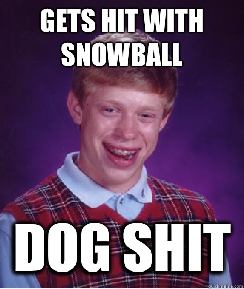 Gets hit with snowball Dog Shit  Bad Luck Brian