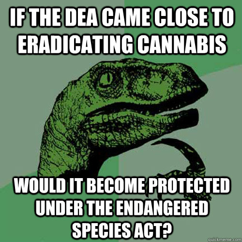 If the DEA came close to eradicating cannabis Would it become protected under the Endangered Species Act? - If the DEA came close to eradicating cannabis Would it become protected under the Endangered Species Act?  Philosoraptor