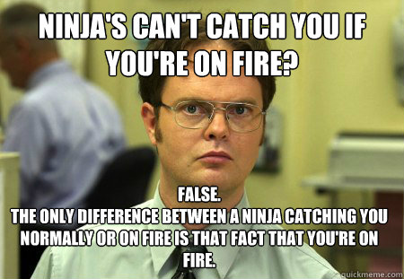 Ninja's can't catch you if you're on fire? False. 
the only difference between a ninja catching you normally or on fire is that fact that you're on fire.  Dwight