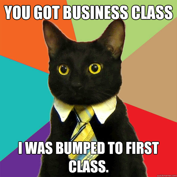 You got business class I was bumped to first class.  Business Cat