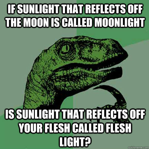 If sunlight that reflects off the moon is called moonlight Is sunlight that reflects off your flesh called flesh light? - If sunlight that reflects off the moon is called moonlight Is sunlight that reflects off your flesh called flesh light?  Philosoraptor