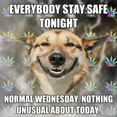 Everybody stay safe tonight normal Wednesday, nothing unusual about today.  Stoner Dog