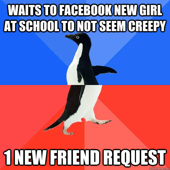 Waits to Facebook new girl at school to not seem creepy 1 new friend request  Socially Awkward Awesome Penguin