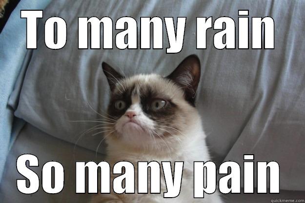 TO MANY RAIN SO MANY PAIN Grumpy Cat