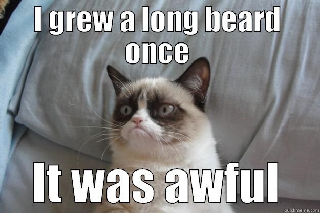 I GREW A LONG BEARD ONCE IT WAS AWFUL Grumpy Cat