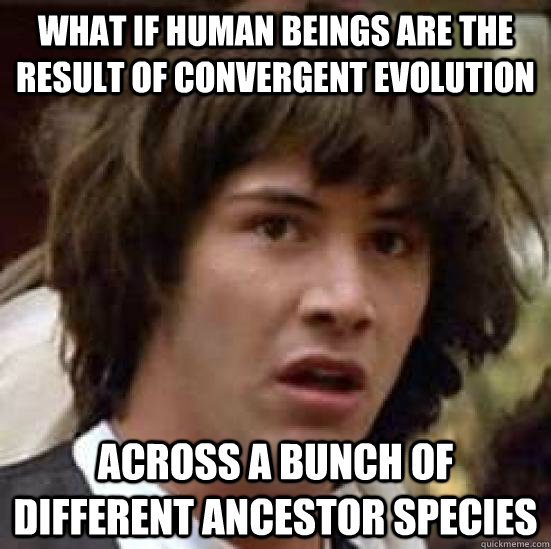 what if human beings are the result of convergent evolution across a bunch of different ancestor species  conspiracy keanu