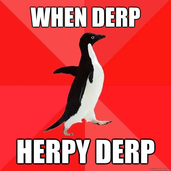 when derp herpy derp  Socially Awesome Penguin