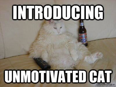 Introducing unmotivated cat - Introducing unmotivated cat  Misc