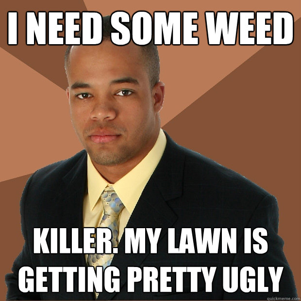 i need some weed killer. my lawn is getting pretty ugly - i need some weed killer. my lawn is getting pretty ugly  Successful Black Man