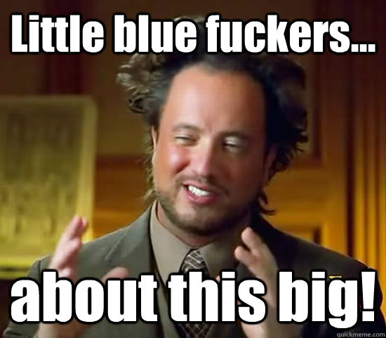 Little blue fuckers... about this big!  Ancient Aliens