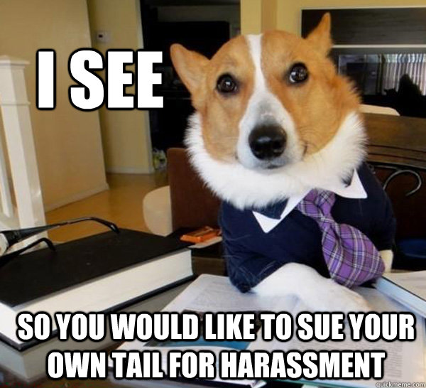 I SEE SO YOU WOULD LIKE TO SUE YOUR OWN TAIL FOR HARASSMENT   Lawyer Dog