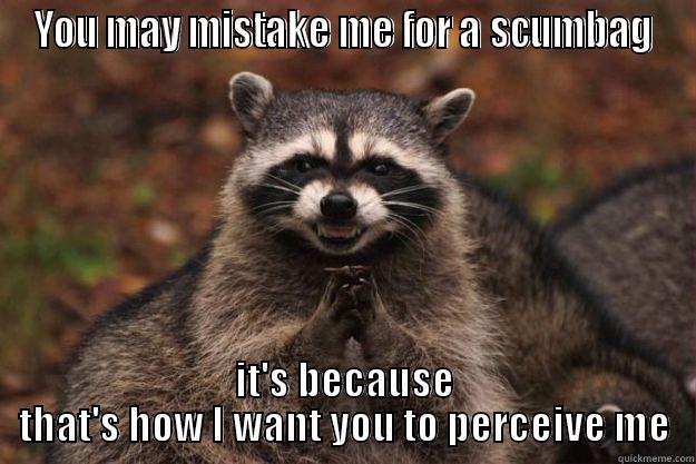 YOU MAY MISTAKE ME FOR A SCUMBAG IT'S BECAUSE THAT'S HOW I WANT YOU TO PERCEIVE ME Evil Plotting Raccoon