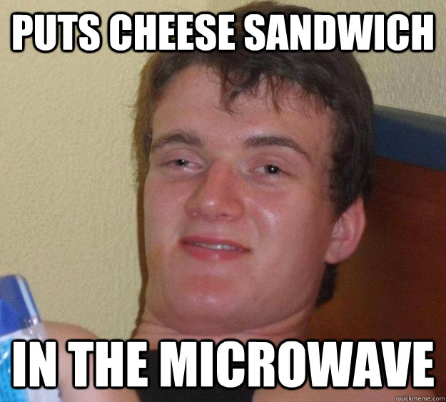 PUTS CHEESE SANDWICH IN THE MICROWAVE  10 Guy