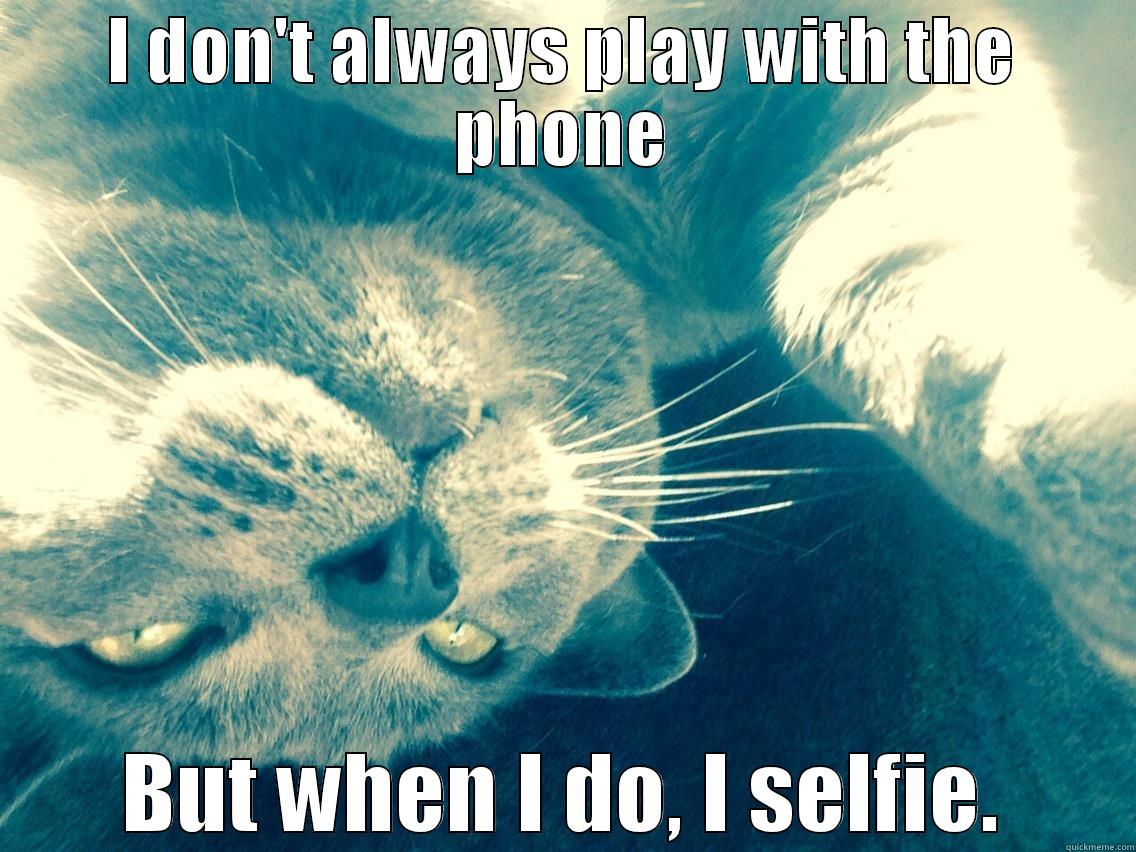 Cat Selfie - I DON'T ALWAYS PLAY WITH THE PHONE BUT WHEN I DO, I SELFIE. Misc