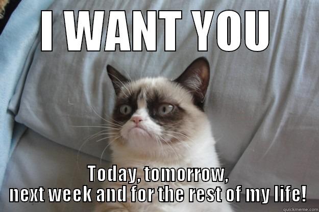 I WANT YOU TODAY, TOMORROW, NEXT WEEK AND FOR THE REST OF MY LIFE! Grumpy Cat