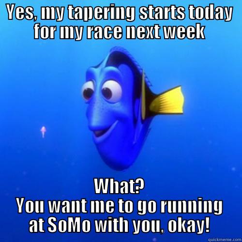 YES, MY TAPERING STARTS TODAY FOR MY RACE NEXT WEEK WHAT? YOU WANT ME TO GO RUNNING AT SOMO WITH YOU, OKAY! dory