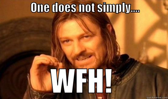 Working from home -               ONE DOES NOT SIMPLY....                                          WFH! Boromir