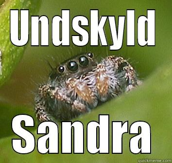 UNDSKYLD SANDRA Misunderstood Spider