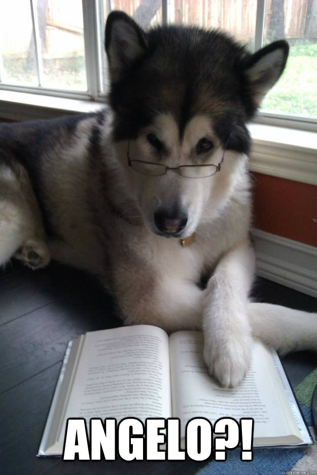  Angelo?!  Condescending Literary Pun Dog