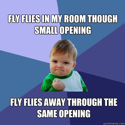 Fly flies in my room though small opening fly flies away through the same opening   Success Baby