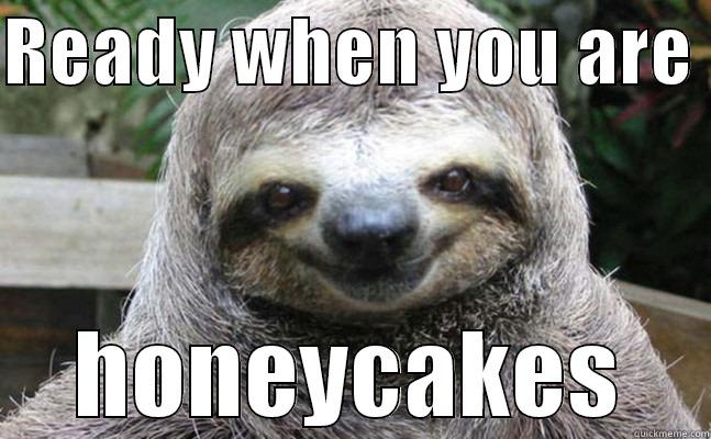 Sloth  - READY WHEN YOU ARE  HONEYCAKES Misc