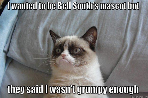 I WANTED TO BE BELL SOUTH'S MASCOT BUT THEY SAID I WASN'T GRUMPY ENOUGH Grumpy Cat