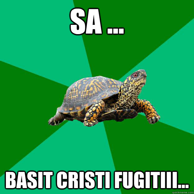 Sa ... bASIT CRISTI FUGITIII...  Torrenting Turtle