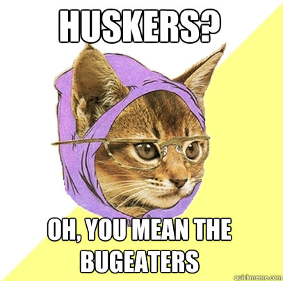 Huskers? oh, you mean the bugeaters  Hipster Kitty