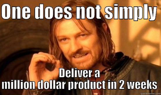 ONE DOES NOT SIMPLY  DELIVER A MILLION DOLLAR PRODUCT IN 2 WEEKS Boromir