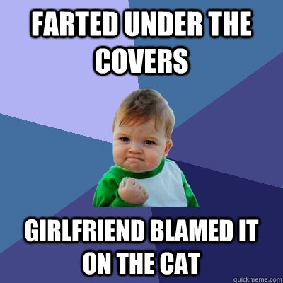 Farted under the covers Girlfriend blamed it on the cat  Success Kid