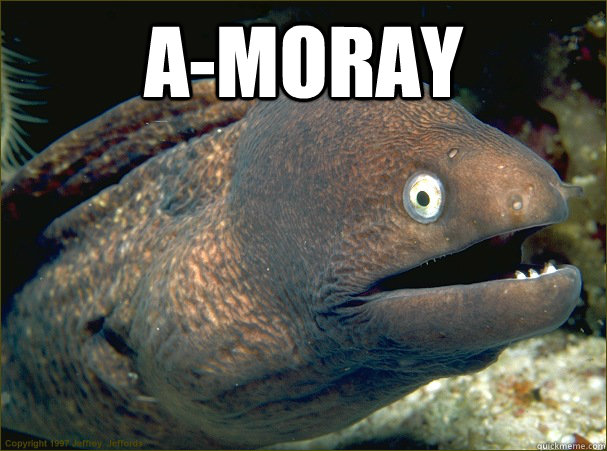 A-Moray   Bad Joke Eel