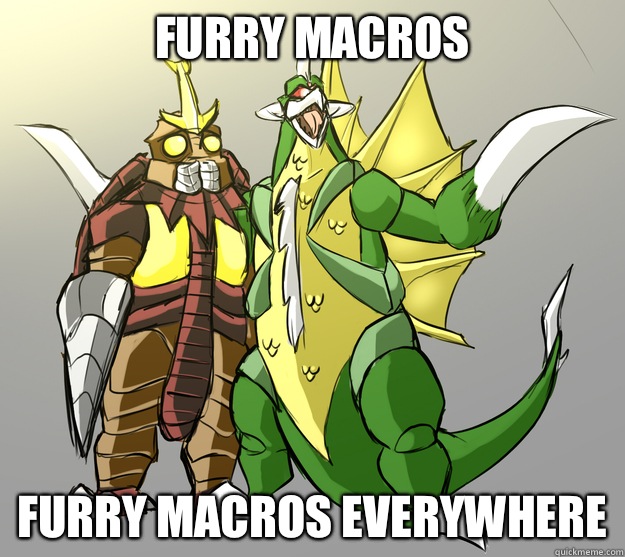 Furry macros Furry Macros everywhere  