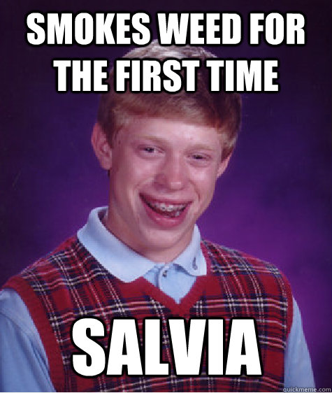 SMokes weed for the first time salvia - SMokes weed for the first time salvia  Bad Luck Brian