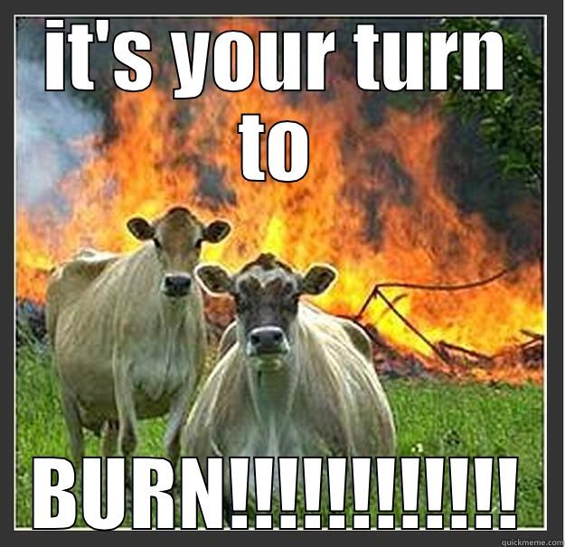 IT'S YOUR TURN TO BURN!!!!!!!!!!!! Evil cows