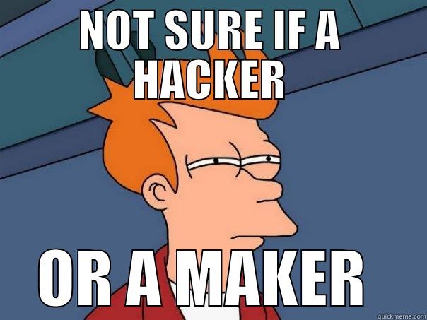 DT FRY - NOT SURE IF A HACKER OR A MAKER  Futurama Fry