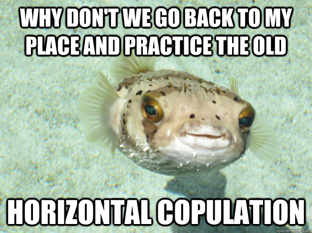 Why don't we go back to my place and practice the old horizontal copulation - Why don't we go back to my place and practice the old horizontal copulation  Half-Euphemism Blowfish