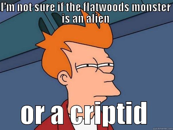 I'M NOT SURE IF THE FLATWOODS MONSTER IS AN ALIEN OR A CRIPTID Futurama Fry