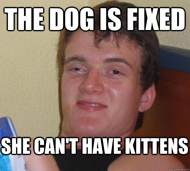 The dog is fixed she can't have kittens  10 Guy