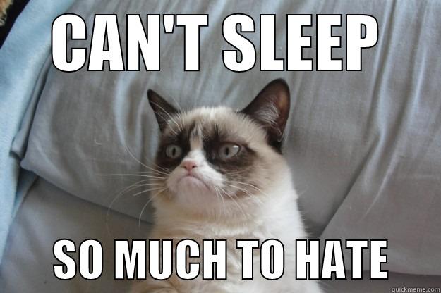 CAN'T SLEEP        SO MUCH TO HATE      Grumpy Cat