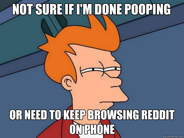 Not sure if i'm done pooping or need to keep browsing reddit on phone  Futurama Fry