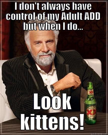 I DON'T ALWAYS HAVE CONTROL OF MY ADULT ADD BUT WHEN I DO... LOOK KITTENS! The Most Interesting Man In The World