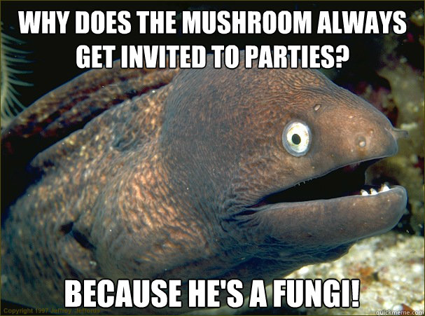 Why does the mushroom always get invited to parties? Because he's a fungi! - Why does the mushroom always get invited to parties? Because he's a fungi!  Bad Joke Eel