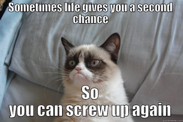 SOMETIMES LIFE GIVES YOU A SECOND CHANCE SO YOU CAN SCREW UP AGAIN Grumpy Cat